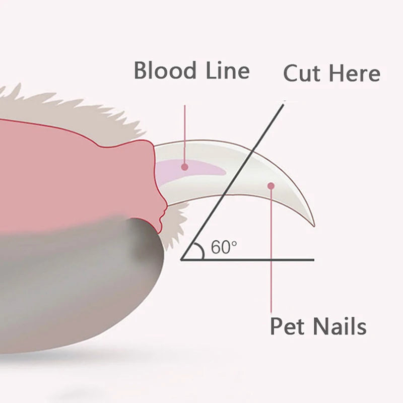Nagelsax Husdjur med LED-ljus – Hund & Katt